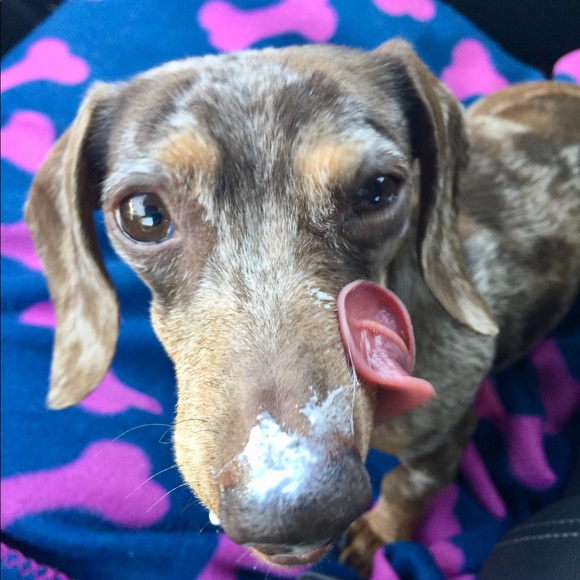 EUC Ginger NerdGirl, New-2-Poshmark. Hi! - Picture 13 of 16